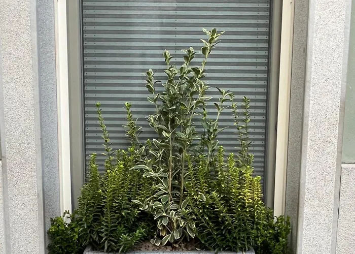 Appartement Habemus Loft -the Circle Raffinato Ed Esclusivo Art-loft Open Space Nel Cuore Storico Pedonale Di Trieste